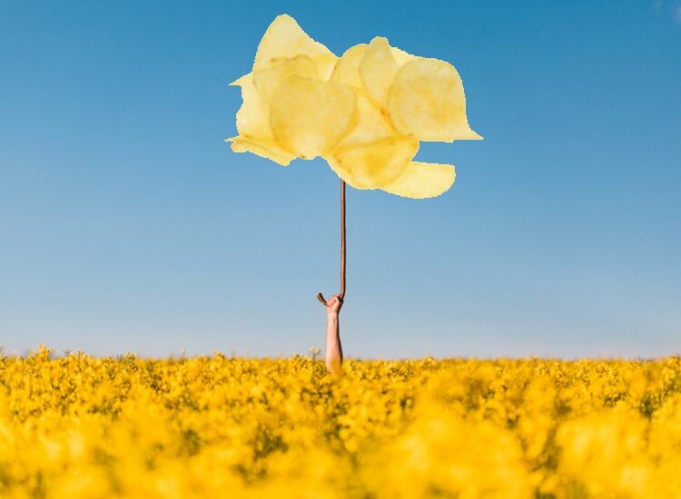 EIT Food opens call for ideas that will make a real difference to the agrifood sector