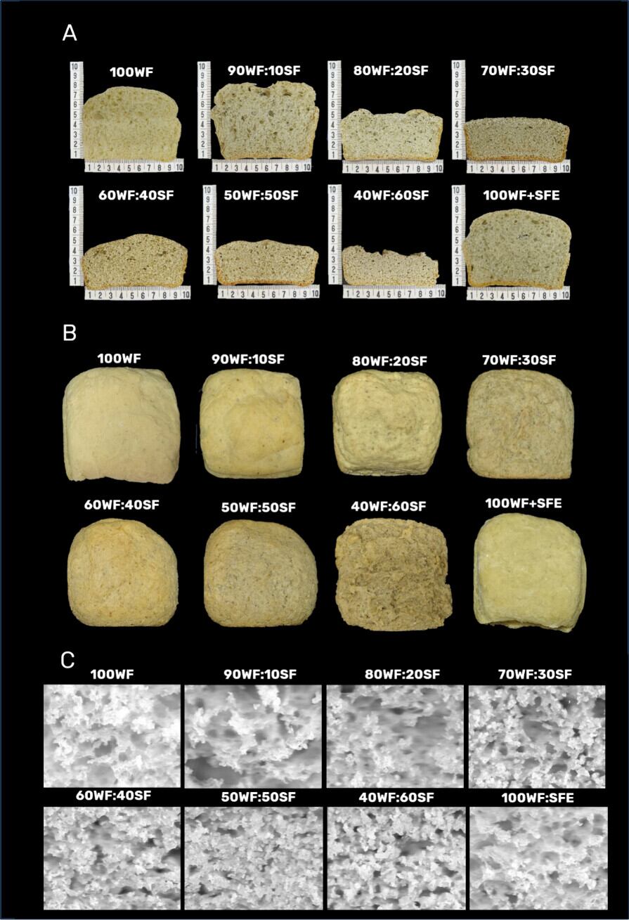 Bread made with defatted sunflower flour.