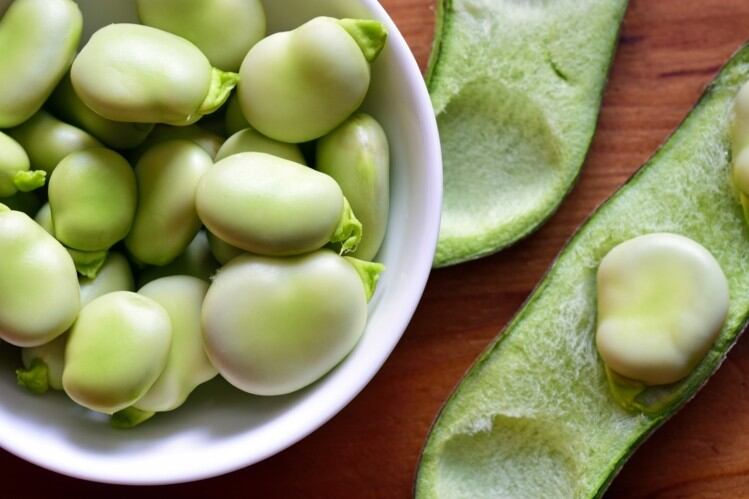 GettyImages-Geo-grafika-fava-beans.jpg