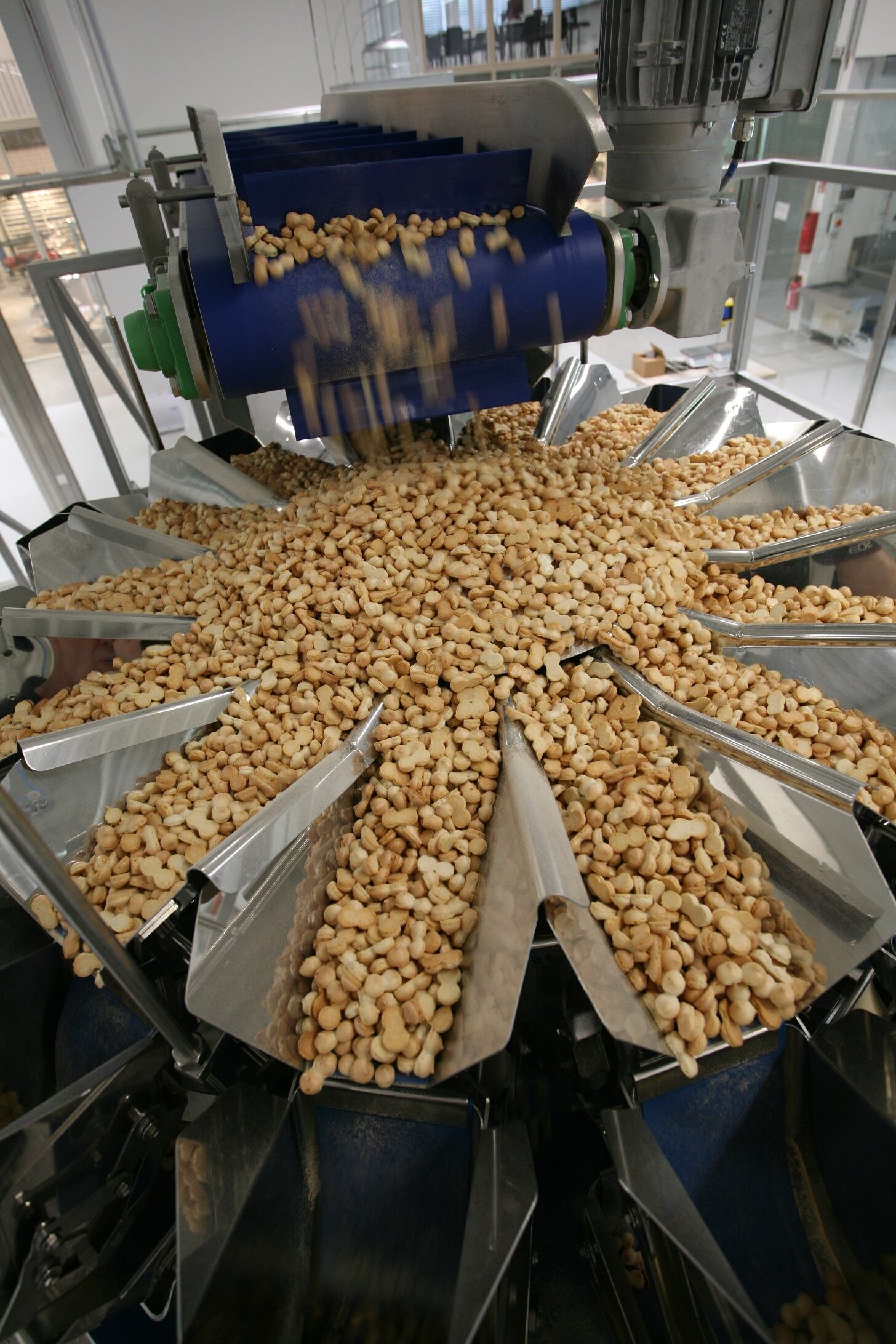 Confiserie-Bosch-Top-of-GS-weigher.jpg