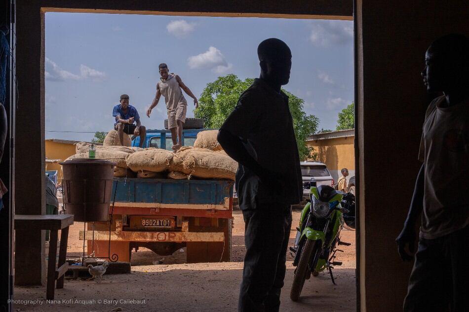 Tonnes of cocoa in EU warehouses face being destroyed because of red tape regarding new deforestation law