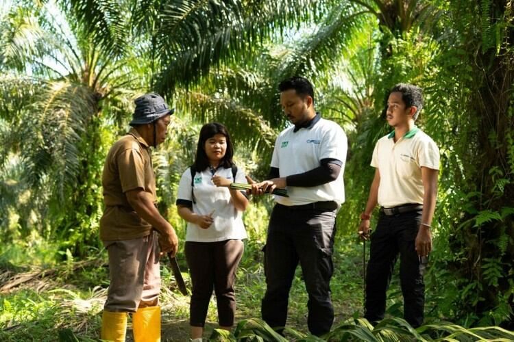 Palm oil major collaborates with researchers on new conservation strategies