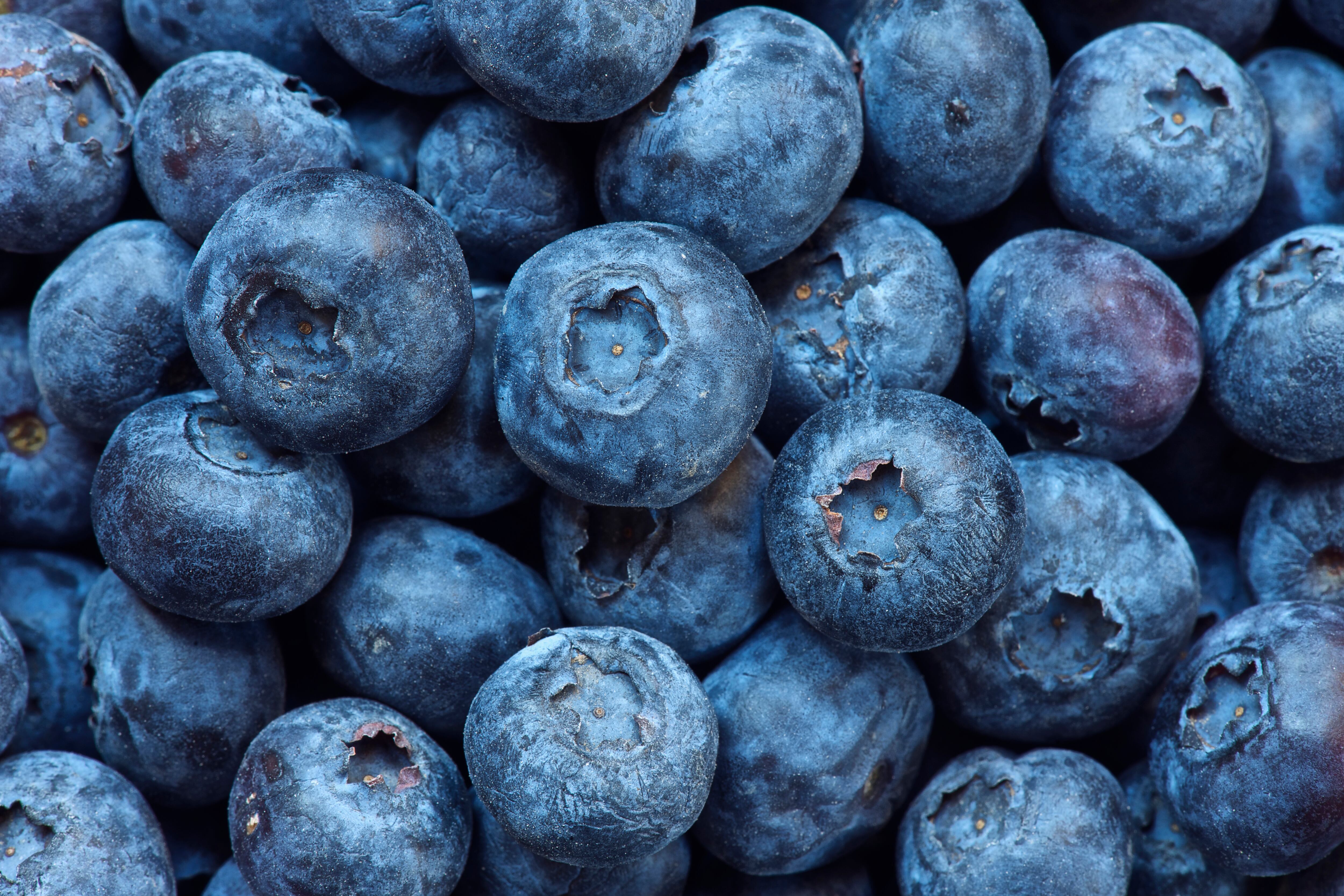 A close up of blueberries
