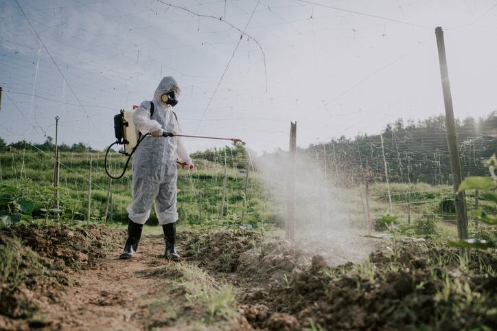 Campaigners angry as EFSA identifies ‘no critical areas of concern’ over controversial herbicide  glyphosate