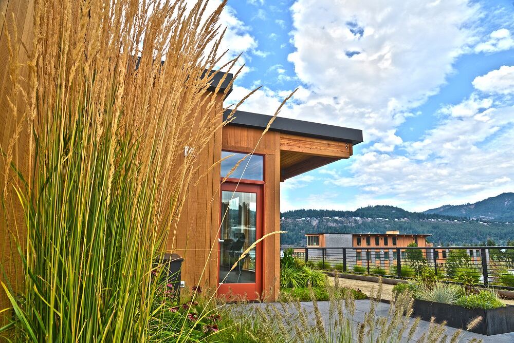 Tofurky-plant_Hood-River-Oregon_green-roof_50pct.jpg