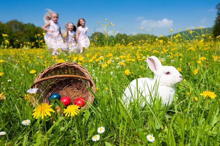 Easter-Egg-hunt-kzenon.jpg