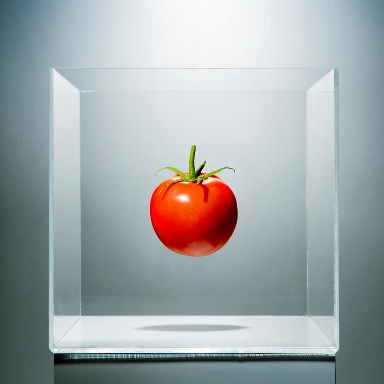 Tomato-in-a-clear-box-PM-Images.jpg