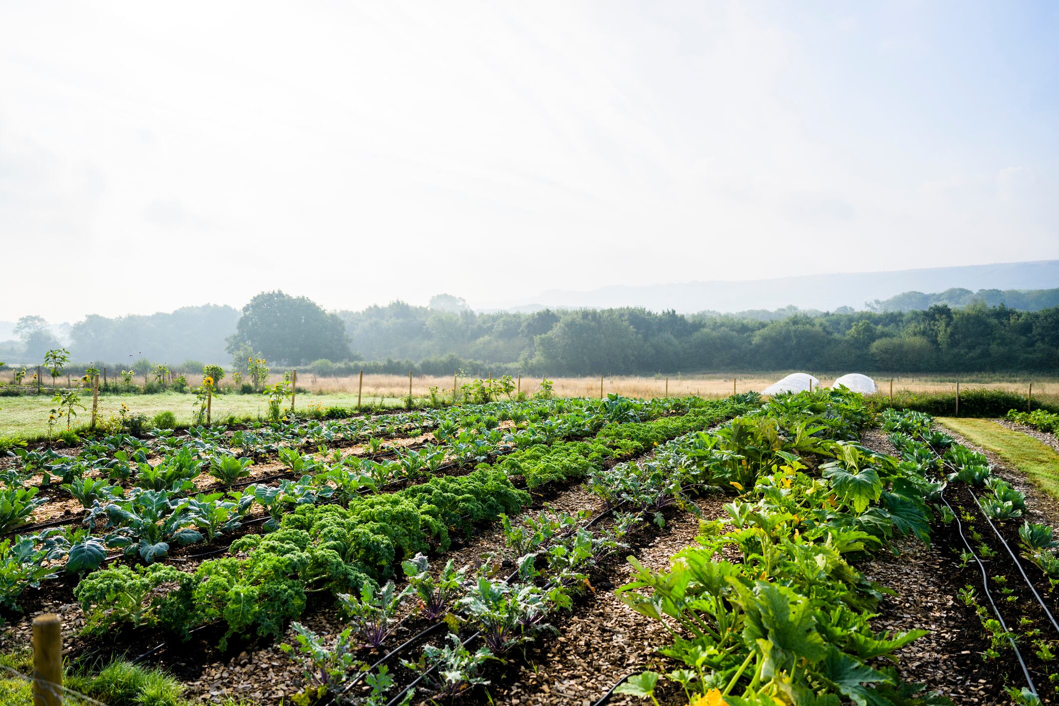 The same strategies that reinforce environmental resilience could protect businesses from fallout from rising global tensions and a trade war.