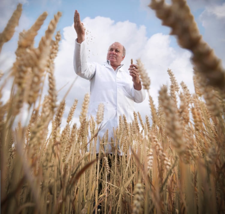 Scientist-in-field-of-wheat-Getty-Monty-Rakusen.jpg