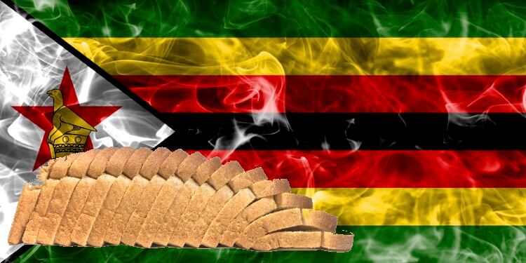 Zimbabwe on brink of meltdown as country runs out of bread, fuel