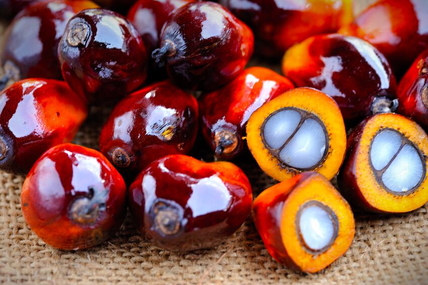 palm-oil-kernels-Droits-d-auteur-slpu9945.jpg