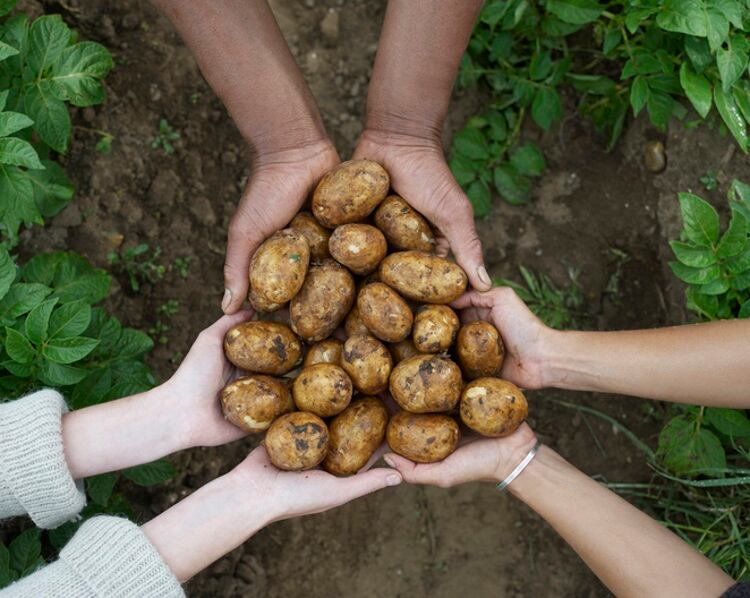 EIT Food gets massive funding boost to improve food security in Europe