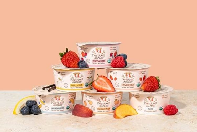 Painterland Sisters’ organic skyr yogurt
