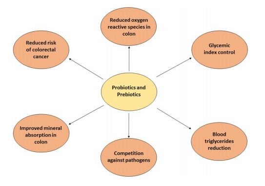 Benefits-of-probiotics.jpg