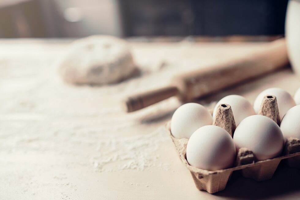 Rembrandt Foods says bakery and snacks are ‘key pieces’ to egg white protein business