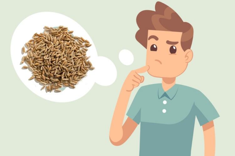 What’s the big deal? UK consumers still unsure of the importance of whole grain