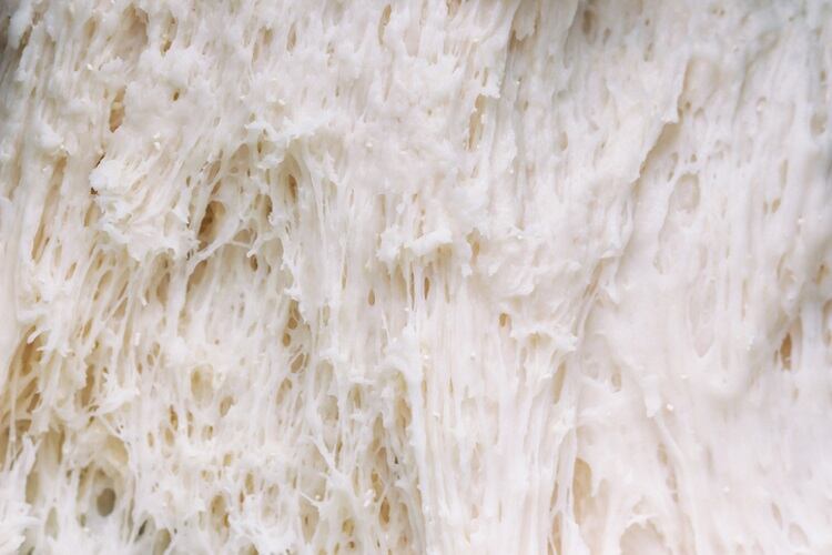 Clean label line of semi-dry yeast adds value to UFF doughs