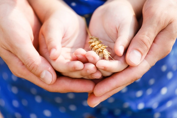 Game changer update: UK’s Federation of Bakers responds to government’s announcement of fortifying bread with folic acid