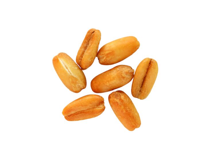 popped-oats.png