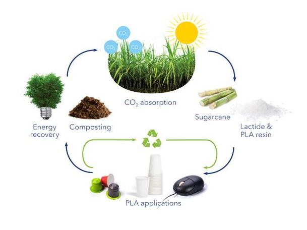 Total-Corbion-shares-study-on-the-environmental-impacts-of-biobased-chemicals.jpg