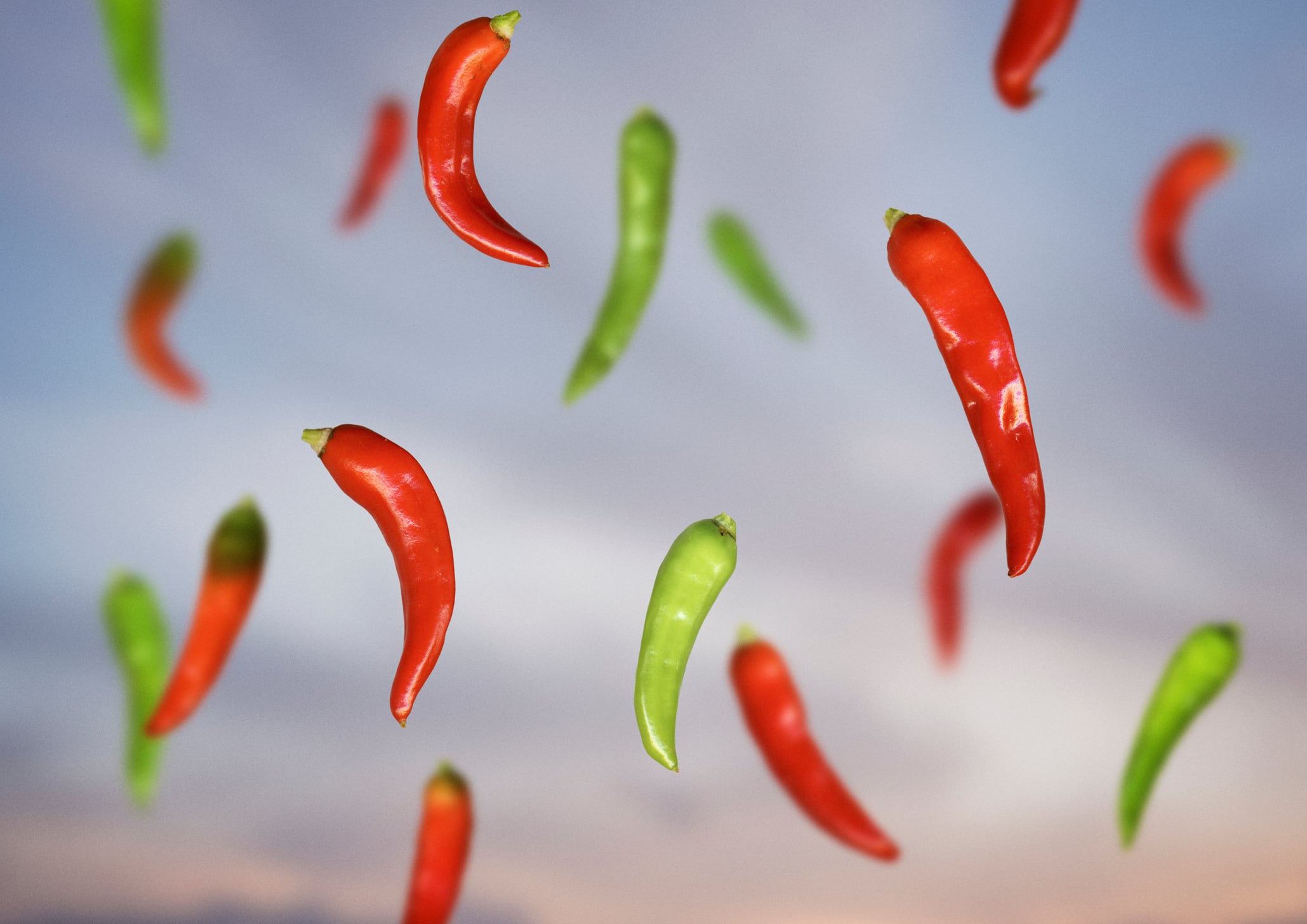 Floating red and green chillies