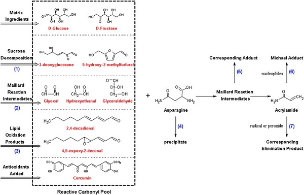 Image from study: Reactive carbonyl pool from various carbonyl sources and possible reactions positions for antioxidants - marked as (1)–(7)