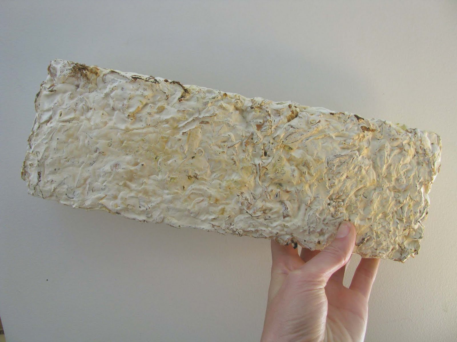Biomimicry fungi to grow packaging material