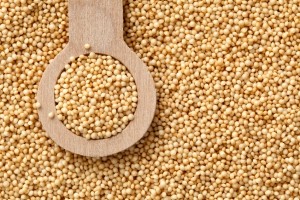 Protein-packed cereal grains like amaranth are ideal for bars and breakfast cereals, Asif says