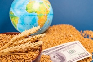 Grain, wheat, money, bread, world Aleksandr Bunin