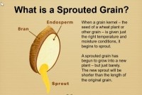Sprouted-Grains-Whole-Grains-Council