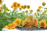 Sunflower oil and seeds alexxx1981