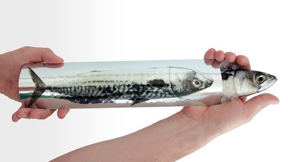 This fish pouch, designed for retail fish counters, promises easier, cleaner transport than paper wrapping.