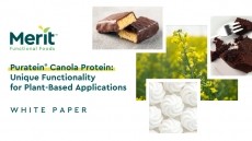 Canola Protein: Functionality to Meet Plant-based Demand