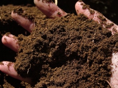 Biodegradable packaging from peat fibre