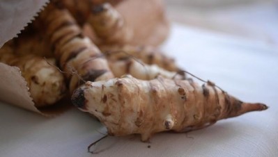 Fermented artichoke backed for prebiotic bread potential