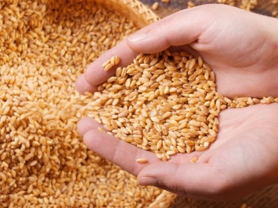 $5.1bn of grain was shipped to India and China in 2016. Picture: ©iStock