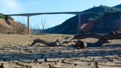 California has suffered periods of severe drought: Picture iStock - Sherron L Pratt