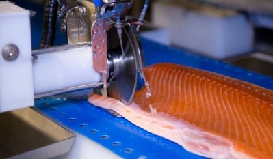 Salmon trimming robot outperforms manual handler