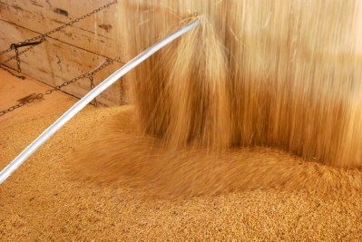 SojaProtein hopes to restart production of enzyme-active flours by the end of 2015