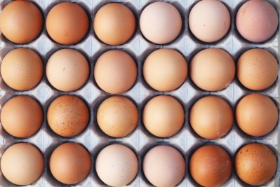 The egg replacers cost around half the price of whole eggs, a Corbion scientists says