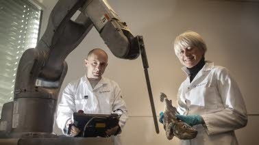 SINTEF researchers have developed a robot that can bleed farmed fish and cut fillets. Photo: Thor Nielsen