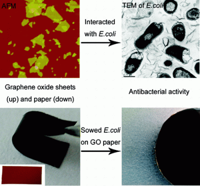 Graphene-based antibacterial paper has food packaging potential