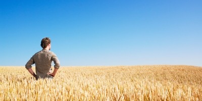Farm safety nets and federal crop insurance for US wheat growers promote stability at the farm level and onward up the supply chain, says National Association of Wheat Growers (NAWG)