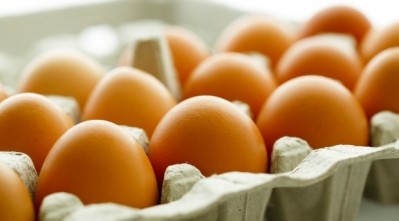US relied more heavily on egg imports during outbreak. Photo: iStock - caelmi