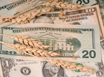 Wheat and corn commodity prices