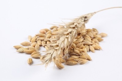 Head plant breeder: 'We’re working to improve oats in terms of their competitiveness as a cereal'