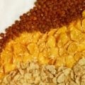 Kellogg's backs research into cereal-derived prebiotics