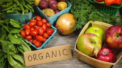 Organic food production ‘needs direction’ to be sustainable, warns US study