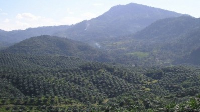 The expansion of palm oil plantations risks fresh water streams that millions of people rely on, warn researchers.