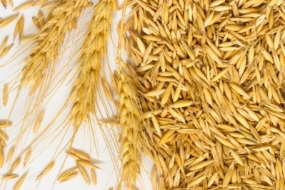 Arcadia Bioscience has developed a non-GM wheat that contains a 75% reduced allergenic gluten content and a 60% reduced overall gluten content. Pic: ©iStock/Oleanaa
